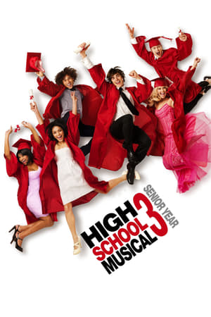 High School Musical 3 (2008) Hindi Dual Audio 350MB High School Musical 3 (2008) Hindi Dual Audio 350MB