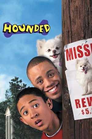 Hounded 2001 Hindi Dual Audio 310MB Hounded 2001 Hindi Dual Audio 310MB