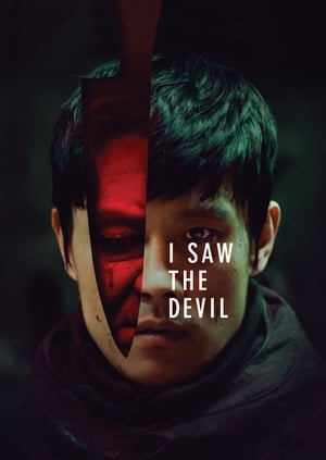 I Saw the Devil 2010 Hindi Dual Audio – I Saw the Devil 2010 Hindi Dual Audio –