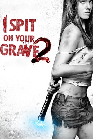 I Spit on Your Grave 2 (2013) Hindi Dual Audio – I Spit on Your Grave 2 (2013) Hindi Dual Audio –