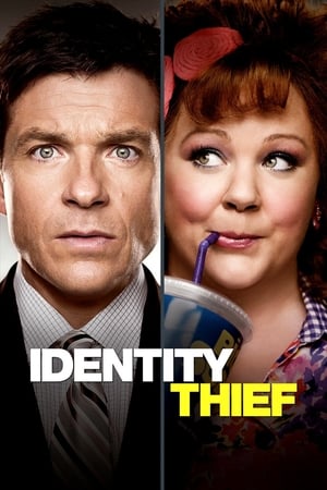 Identity Thief (2013) Hindi Dual Audio 350MB Identity Thief (2013) Hindi Dual Audio 350MB