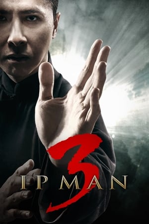 Ip Man 3 (2015) Hindi Dual Audio 400MB Ip Man 3 (2015) Hindi Dual Audio 400MB