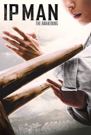 Ip Man: The Awakening (2022) Hindi Dual Audio – Ip Man: The Awakening (2022) Hindi Dual Audio –