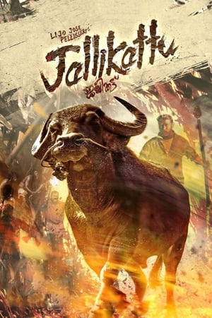 Jallikattu (2019) (Hindi – Malayalam) Dual Audio – Jallikattu (2019) (Hindi – Malayalam) Dual Audio –