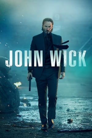 John Wick (2014) Hindi Dual Audio 300MB ESubs John Wick (2014) Hindi Dual Audio 300MB ESubs