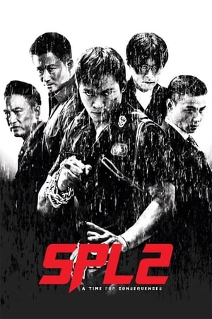 Kill Zone 2 (2015) Hindi Dual Audio 400MB Kill Zone 2 (2015) Hindi Dual Audio 400MB