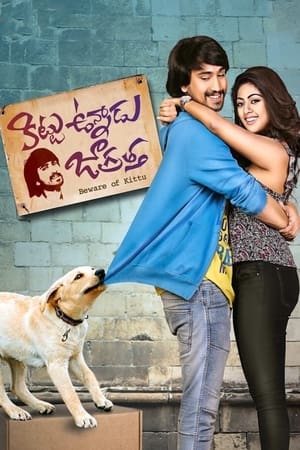 Kittu Unnadu Jagratha 2017 Hindi Dual Audio 400MB Kittu Unnadu Jagratha 2017 Hindi Dual Audio 400MB