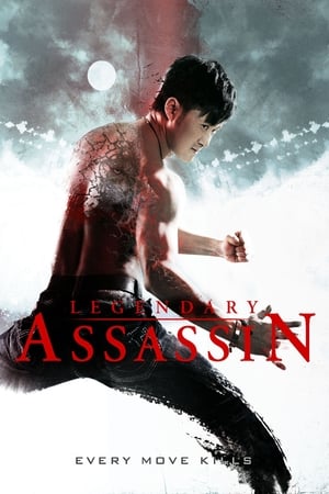 Legendary Assassin (2008) Hindi Dual Audio 300MB Legendary Assassin (2008) Hindi Dual Audio 300MB