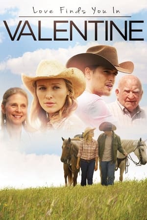 Love Finds You in Valentine (2016) Hindi Dual Audio 300MB Love Finds You in Valentine (2016) Hindi Dual Audio 300MB