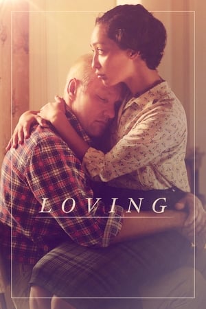 Loving (2016) Hindi Dual Audio 420MB Loving (2016) Hindi Dual Audio 420MB
