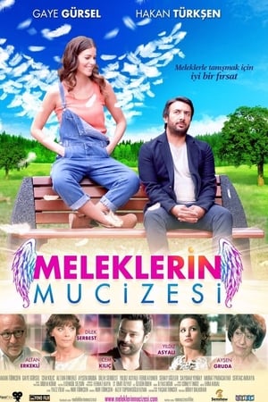 Meleklerin mucizesi (2014) Hindi Dual Audio 280MB Meleklerin mucizesi (2014) Hindi Dual Audio 280MB
