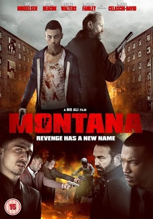 Montana (2014) Hindi Dual Audio 350MB Montana (2014) Hindi Dual Audio 350MB