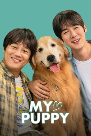 My love puppy (2022) Hindi Dual Audio – My love puppy (2022) Hindi Dual Audio –