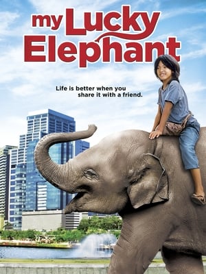 My Lucky Elephant 2013 300MB Dual Audio Hindi Download My Lucky Elephant 2013 300MB Dual Audio Hindi Download