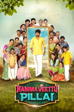 Namma Veettu Pillai (2019) (Hindi – Tamil) Dual Audio 450MB Namma Veettu Pillai (2019) (Hindi – Tamil) Dual Audio 450MB