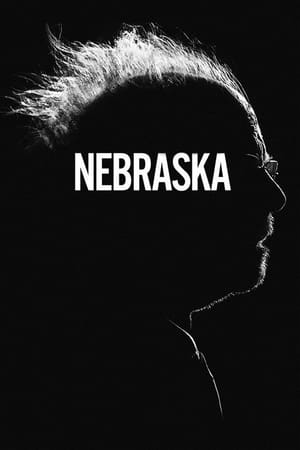 Nebraska 2013 Dual Audio Hindi Movie - 1GB Nebraska 2013 Dual Audio Hindi Movie - 1GB