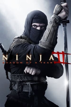 Ninja Shadow of a Tear 2013 Hindi Dual Audio 300MB Ninja Shadow of a Tear 2013 Hindi Dual Audio 300MB