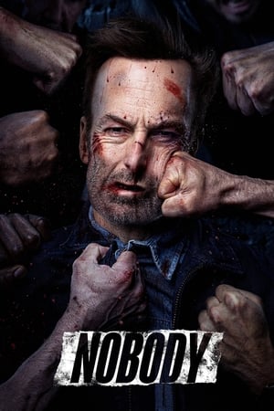 Nobody (2021) Hindi Dual Audio – – Nobody (2021) Hindi Dual Audio – –