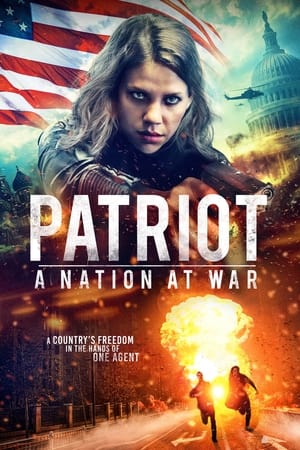 Patriot A Nation at War 2020 Hindi Dual Audio 300MB Patriot A Nation at War 2020 Hindi Dual Audio 300MB