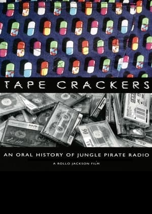 Pirate Radio (2009) Hindi Dual Audio 400MB Pirate Radio (2009) Hindi Dual Audio 400MB