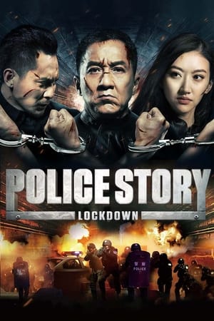 Police Story: Lockdown (2013) Hindi Dual Audio 380MB Police Story: Lockdown (2013) Hindi Dual Audio 380MB
