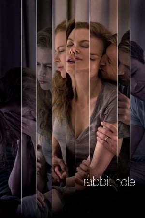 Rabbit Hole (2010) Hindi Dual Audio 300MB Rabbit Hole (2010) Hindi Dual Audio 300MB