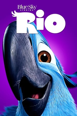 Rio (2011) 100mb Hindi Dual Audio movie 130MB Rio (2011) 100mb Hindi Dual Audio movie 130MB