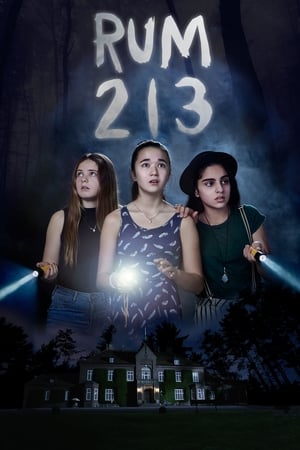 Rum 213 2017 Hindi Dual Audio 280MB Rum 213 2017 Hindi Dual Audio 280MB