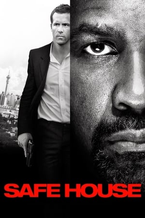 Safe House (2012) Hindi Dual Audio 350MB Safe House (2012) Hindi Dual Audio 350MB