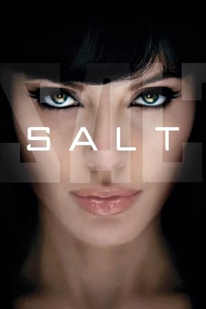 Salt (2010) Hindi Dual Audio 300MB Salt (2010) Hindi Dual Audio 300MB
