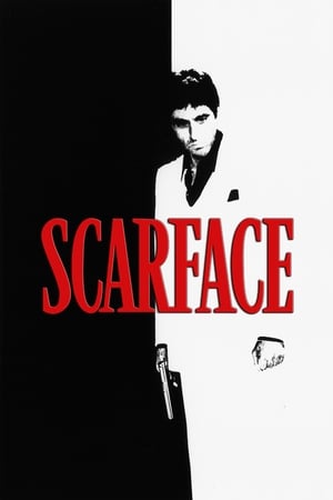 Scarface (1983) Dual Audio Hindi 500MB Scarface (1983) Dual Audio Hindi 500MB