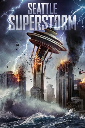 Seattle Superstorm (2012) Hindi Dual Audio 300MB Seattle Superstorm (2012) Hindi Dual Audio 300MB