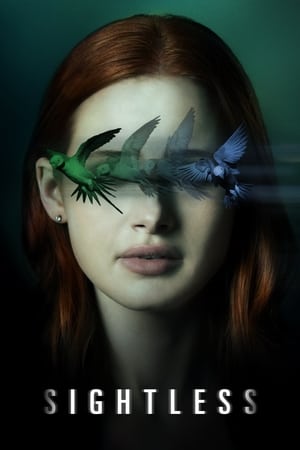Sightless 2020 Hindi Dual Audio 300MB Sightless 2020 Hindi Dual Audio 300MB