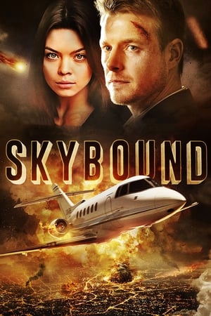Skybound (2017) Hindi Dual Audio 350MB Skybound (2017) Hindi Dual Audio 350MB