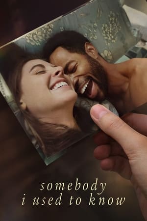 Somebody I Used to Know 2023 Hindi Dual Audio – Somebody I Used to Know 2023 Hindi Dual Audio –