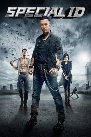 Special ID (2013) Hindi Dual Audio 300MB ESubs Special ID (2013) Hindi Dual Audio 300MB ESubs