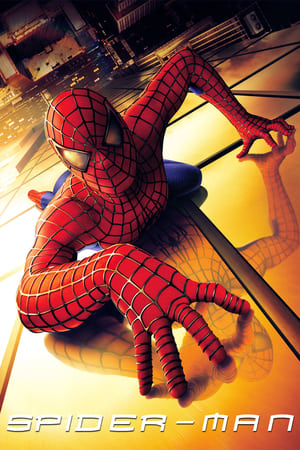 Spider-Man (2002) Hindi Dual Audio 370MB Spider-Man (2002) Hindi Dual Audio 370MB