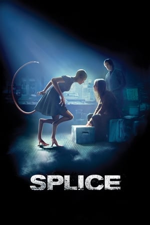 Splice 2009 Hindi Dual Audio 330MB Splice 2009 Hindi Dual Audio 330MB