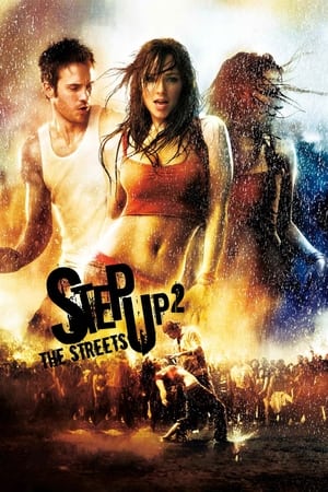 Step Up 2 The Streets 2008 Hindi Dual Audio 300MB Step Up 2 The Streets 2008 Hindi Dual Audio 300MB