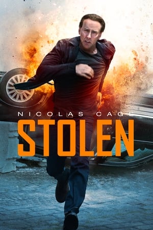 Stolen (2012) Hindi Dual Audio 300MB ESubs Stolen (2012) Hindi Dual Audio 300MB ESubs