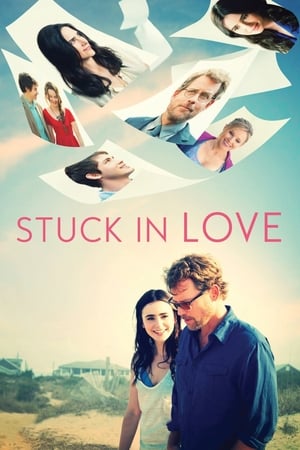 Stuck in Love (2012) Hindi Dual Audio 300MB Stuck in Love (2012) Hindi Dual Audio 300MB