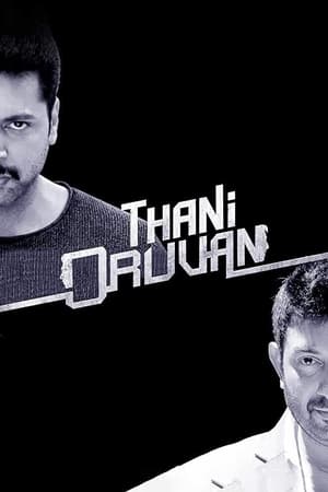 Thani Oruvan 2015 220mb Hindi - Tamil Dubbed movie Download Thani Oruvan 2015 220mb Hindi - Tamil Dubbed movie Download