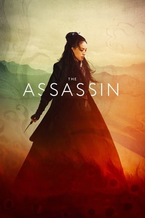The Assassin 2015 Hindi Dual Audio 300MB The Assassin 2015 Hindi Dual Audio 300MB