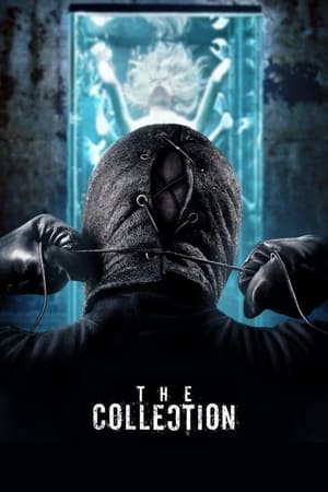 The Collection (2012) Hindi Dual Audio 300MB The Collection (2012) Hindi Dual Audio 300MB