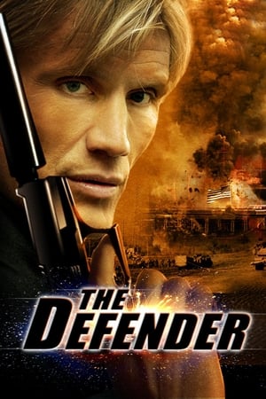 The Defender (2004) Hindi Dual Audio 300MB The Defender (2004) Hindi Dual Audio 300MB