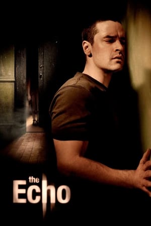 The Echo (2008) Hindi Dual Audio 300MB The Echo (2008) Hindi Dual Audio 300MB