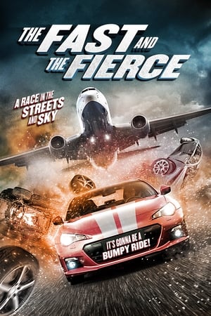 The Fast and the Fierce 2017 Hindi Dual Audio 300MB The Fast and the Fierce 2017 Hindi Dual Audio 300MB