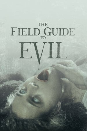The Field Guide to Evil 2018 Hindi Dual Audio 350MB The Field Guide to Evil 2018 Hindi Dual Audio 350MB