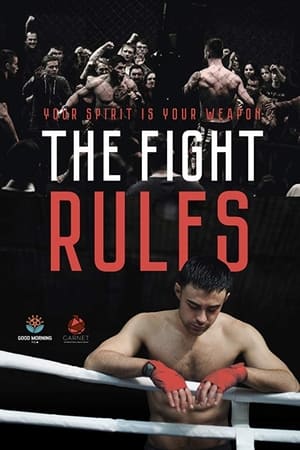 The Fight Rules 2017 Hindi Dual Audio 260MB The Fight Rules 2017 Hindi Dual Audio 260MB
