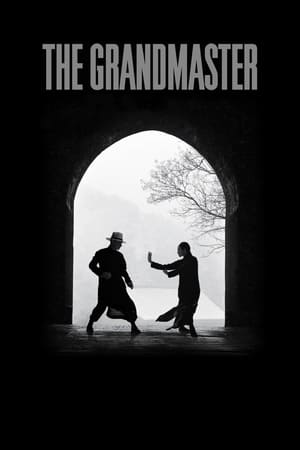 The Grandmaster (2013) Hindi Dual Audio 350MB ESubs The Grandmaster (2013) Hindi Dual Audio 350MB ESubs